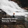 Nature Sounds、Sleep Sounds of Nature、Nature Sounds Nature Music - Beautiful Rainforest