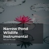 Sleep Sounds of Nature、Nature Sounds Nature Music、Nature Sounds - Musical Rocky River