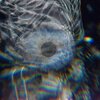 Gusty -E- - Primus