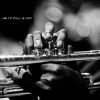 Tahta Menezes、Samba Melodiosa、The Big Bossa - And I'm Still In Love