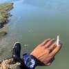Twilight Cobain - mirror/on me (Explicit)
