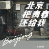 王鹤铮 - 北京把青春还给我