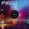 DJ阿阳 - 梦醒以后