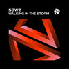 SOWZ - Walking In The Storm