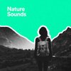 Brain Clouds – sovemusik、Brain Clouds – yogamusik - Morgente (Naturmusik)