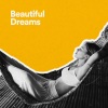 Brain Clouds – sovemusik、Brain Clouds – yogamusik - Vintervandrere (Omgivende musik)
