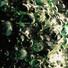 Scaler - Loam