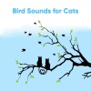 Bird Sound Collectors - Bird Sounds for Cats