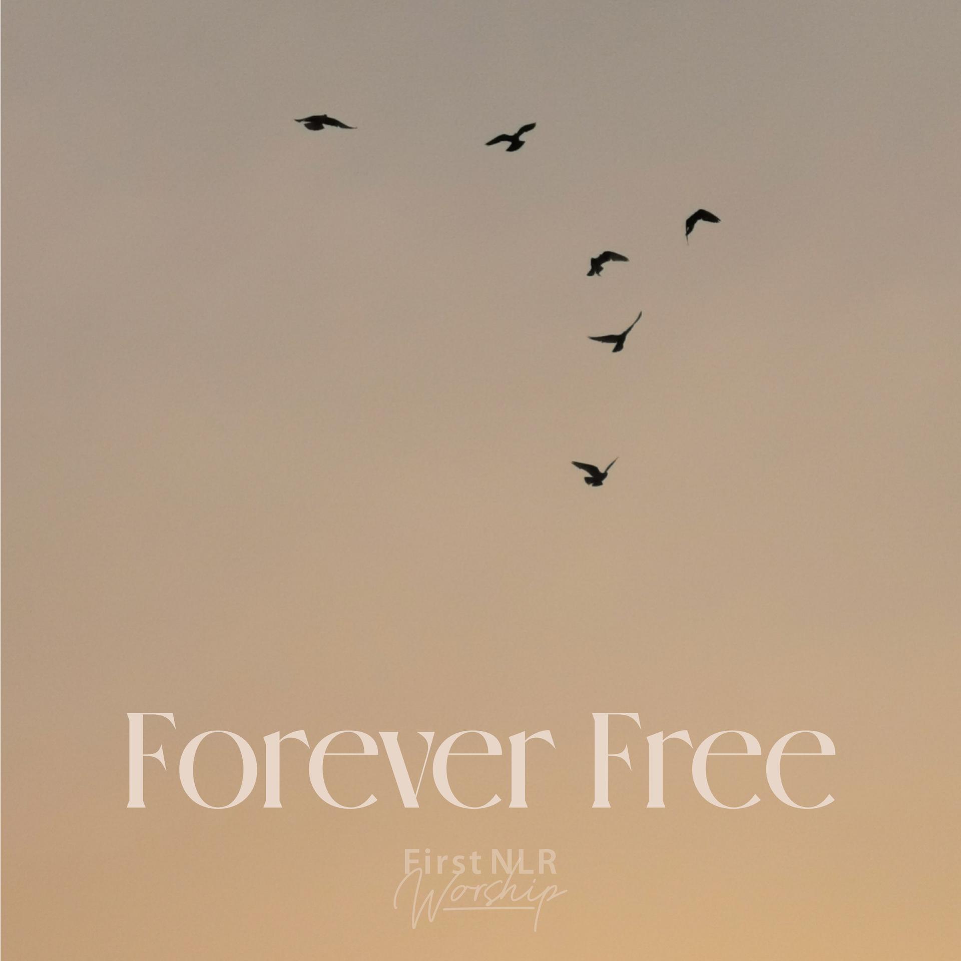 First NLR Worship、Mary Grace、Lucas DeBard - Forever Free