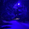 汤汤水水、elijah who - love ¿ (feat. sayso)(Explicit)