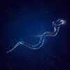 Canopus Sleep - The Water Snake