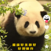 崇如青 - 霓虹甜心