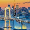 左玉林 - 白月光