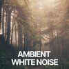 Ambient Nature White Noise - Tranquil Forest Whisper
