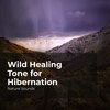 Nature Sounds、Sleep Sounds of Nature、Nature Sounds Nature Music - Stream Flowing Through Rocks