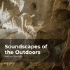 Sleep Sounds of Nature、Nature Sounds Nature Music、Nature Sounds - Calmness in the Woods