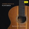 andres segovia《J.S. Bach: Suite In E Minor For Lute, BWV 996《Arr. Segovia: 2. Allemande》[MP3/LRC]