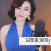雷思音 - 甜蜜蜜