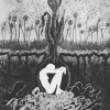 squire - the orbit surrounds the darkness