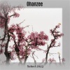 John Toso - Rhythm Is A Dancer