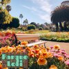 Caminada Lofi、Lofi Para Leer - Corte de Vinilo Lofi
