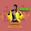 Don Max - Amina