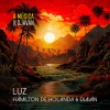 Hamilton De Holanda、djavan - Luz