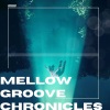 Yogini - Mellow Groove Chronicles