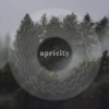 Iguata《Apricity》[MP3/LRC]