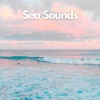 Sea Waves Sounds、Coastal Sounds、Beach Sounds《Sunkissed Serenity (Ocean and Sea Sounds for Relaxation)》[MP3/LRC]