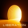 Louis Nurse - Liberation