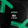 DBLS - If You Got
