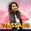 Ace - WASSANE