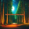 Sound of Crickets - At Night Sleeping and Listening to the Crickets Sing