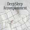 Rita Chakram - Deep Sleep Accompaniment