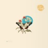 cln - Monday Morning