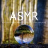 艾米希音樂ASMR - 禅修
