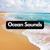 Relaxing Sea Sounds、Ocean Waves、Ocean in HD《Deep Sea Sounds, Pt. 1》[MP3/LRC]