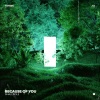 Endless-Music、Diary Music - Because Of You