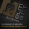 Diarmaid O Meara - Standing Around Looking Foxy