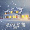 丽芝 - 光的方向