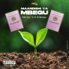 benga《MAANDISHI YA MBEGU (feat. BENGA)》[MP3/LRC]