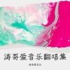 涛哥爱音乐 - 月亮代表我的心
