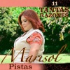 Marisol《Pista Yo Quiero Amarte》[MP3/LRC]