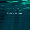 Peace In Stillness - Dream Manifest D# Beta 145-165