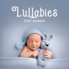 Magical Bedtime Lullabies、Children's Dreamland、Canzoncine Per Bambini - Dreamland Serenade