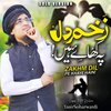 Yasir Soharwardi - Zakhm Dil Pe Khaye Hain (Solo Version)