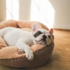 Ethereal Moments、Paws for Thought、Chill Hop Playlist - Dog Dreams in Lofi