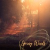 Marconi《Spring winds》[MP3/LRC]