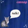 Catnap - I'm Dreamin'